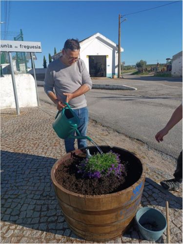 Floreiras 